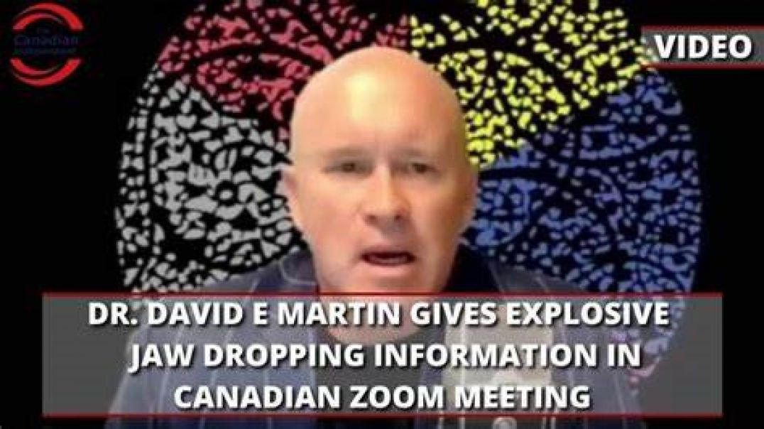 🍁🎙️DR. DAVID E MARTIN GIVES EXPLOSIVE JAW DROPPING INFORMATION IN CANADIAN ZOOM MEETING🍁🎙️