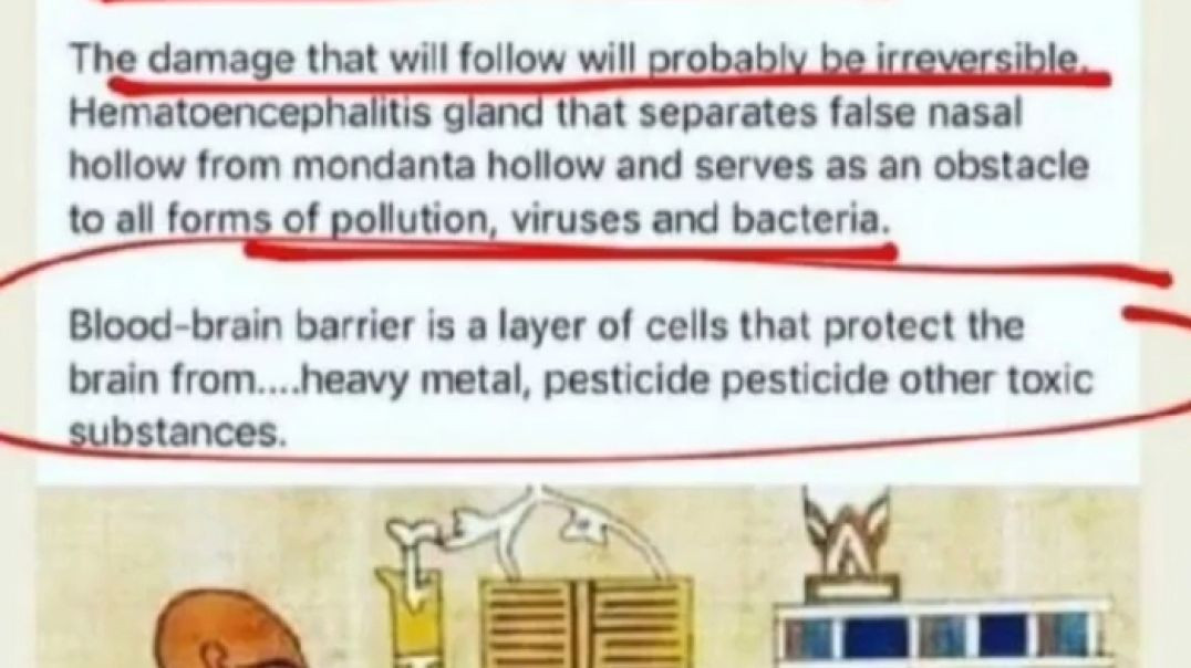 ⁣4CHAN USER PREDICTED COVID 💉😷💀 ON SEPTEMBER 5, 2019