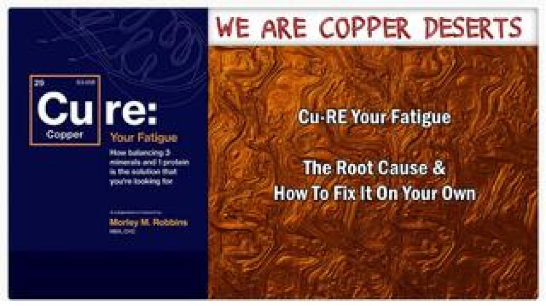 ⁣Cu-RE Your Fatigue 🧘 The Root Cause and How To Fix It On Your Own 📘 Morley Robbins