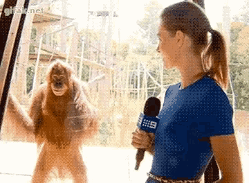 ⁣ORANGUTAN EJECTS UNWANTED GUEST 🦧 SO WHY DON'T WE THE PEOPLE?!?