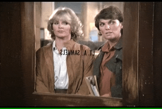 ⁣CAGNEY & LACEY LOSE THEIR BLOODY 🧠❌ MINDS