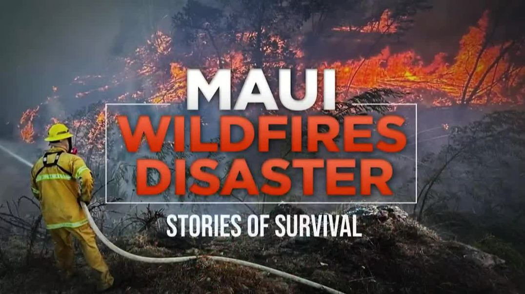 ⁣LANA ASANIN ™️ - 🔥😳 𝗠𝗬𝗦𝗧𝗘𝗥𝗬 𝗢𝗙 𝗠𝗔𝗨𝗜 😳🔥 WAS THIS ALL PLANNED??? #COVERUP #MAUIFIRES
