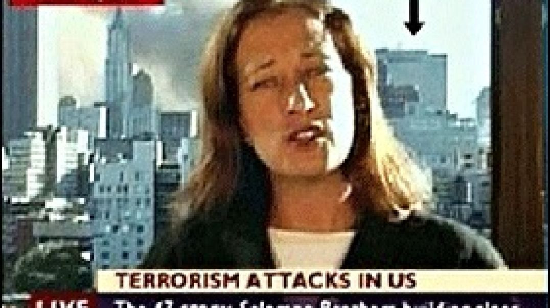 ⁣BBC REPORTER PULLED OFF-AIR AFTER ADMITTING TO THE USE OF WHITE PHOSPOROUS 🚀💥 [SHADES OF WTC 7]