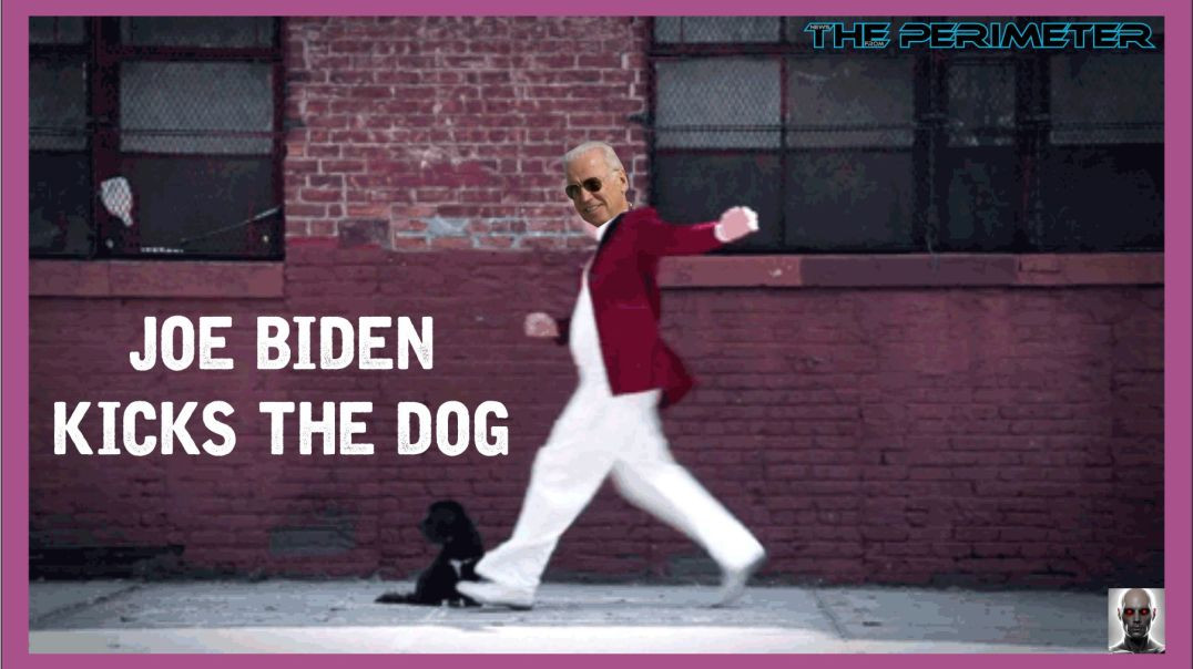 ⁣Biden Kicks the Dog and The American People