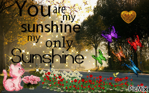 YOU ARE 🌞 MY SUNSHINE