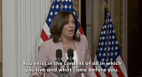 WHO SAID IT BEST ☛ VEEP OR KNEEPADS HARRIS❓[BATHHOUSE BARRY DECLINES TO ENDORSE]