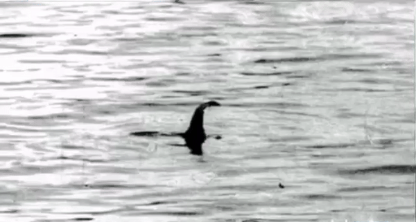 ⁣THE LOCH NESS MONSTER 🦕 FINALLY CAUGHT ON TAPE