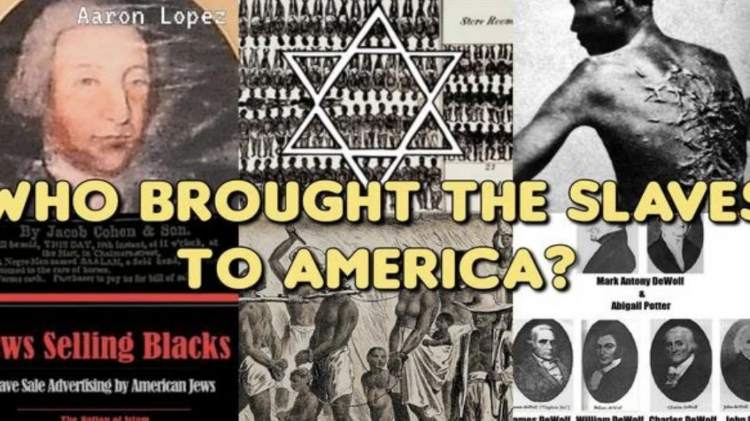 ⁣WHO BROUGHT THE SLAVES TO AMERICA❓WALTER WHITE JR