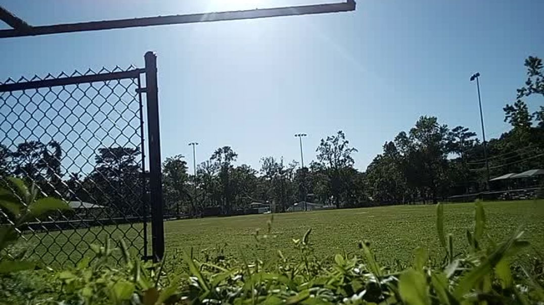 ⁣Wild Ducks!  Walk To Coffee At Normandy Wafflehouse Jacksonville Florida USA 32210