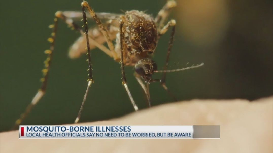 ⁣MOSQUITOES 🦟 TEST POSITIVE FOR WEST NILE VIRUS