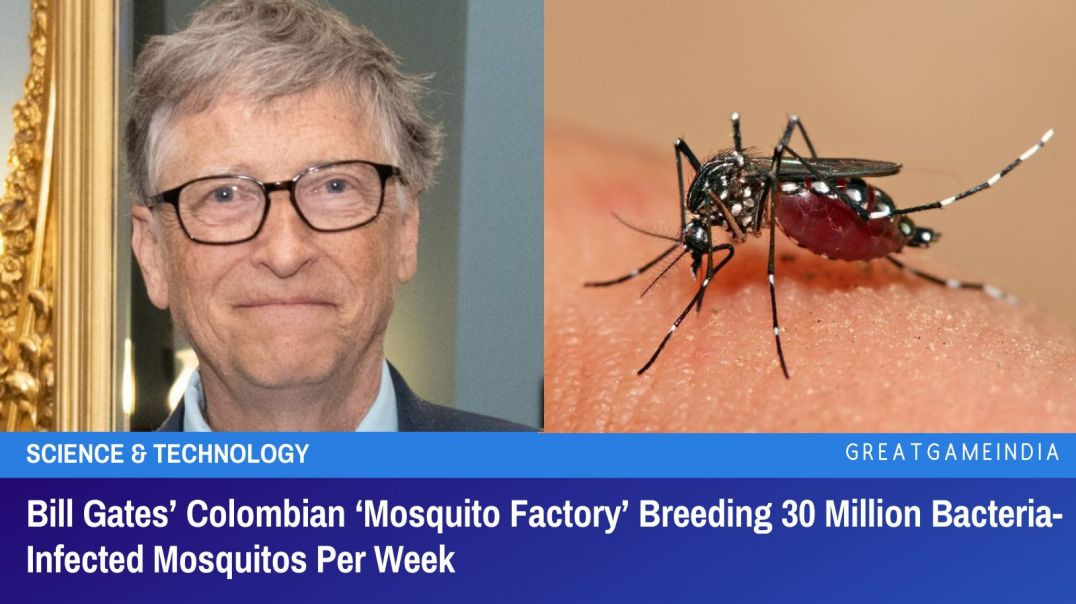 ⁣HELICOPTERS 🚁🦟 AIR-DROPPING INFECTED MOSQUITOES❗