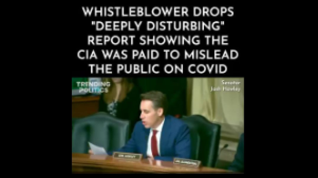 ⁣WHISTLEBLOWER DROPS 'DEEPLY DISTURBING' REPORT ☤ CIA WAS PAID TO MISLEAD THE PUBLIC [COV