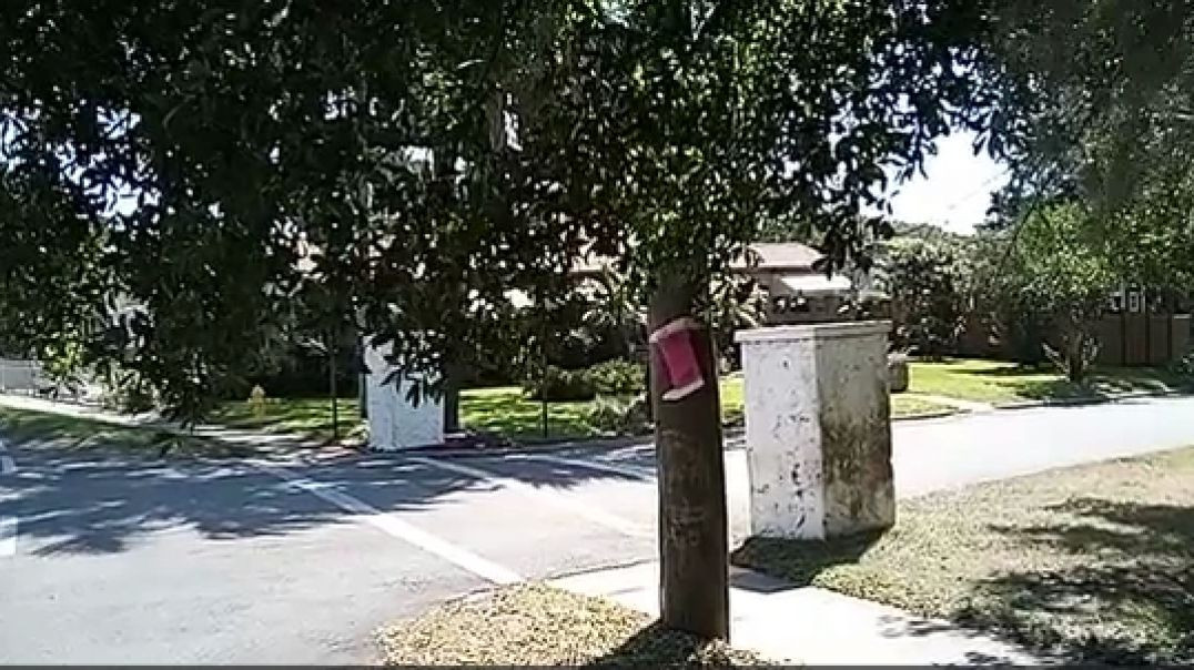 Uplifting eBike Tour Featuring Taxpayer Funded Criminal Save Fishweir Elementary Littering!