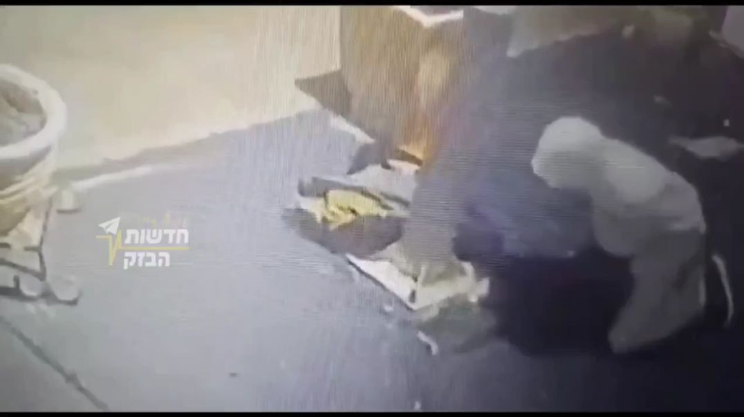 ⁣ISRAELI SETTLER CAUGHT ₪ ON CAMERA RAPING A CAT