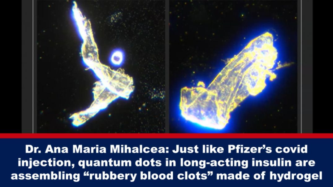 ⁣FURTHER INDEPENDENT CONFIRMATION OF THE SHIP-IN-A-BOTTLE THEORY FROM DR ANA MIHALCEA