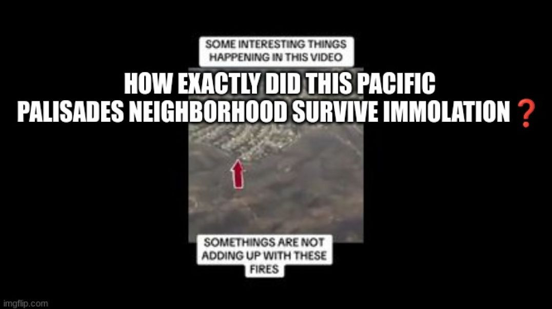 HOW EXACTLY DID THIS PACIFIC PALISADES NEIGHBORHOOD SURVIVE IMMOLATION❓