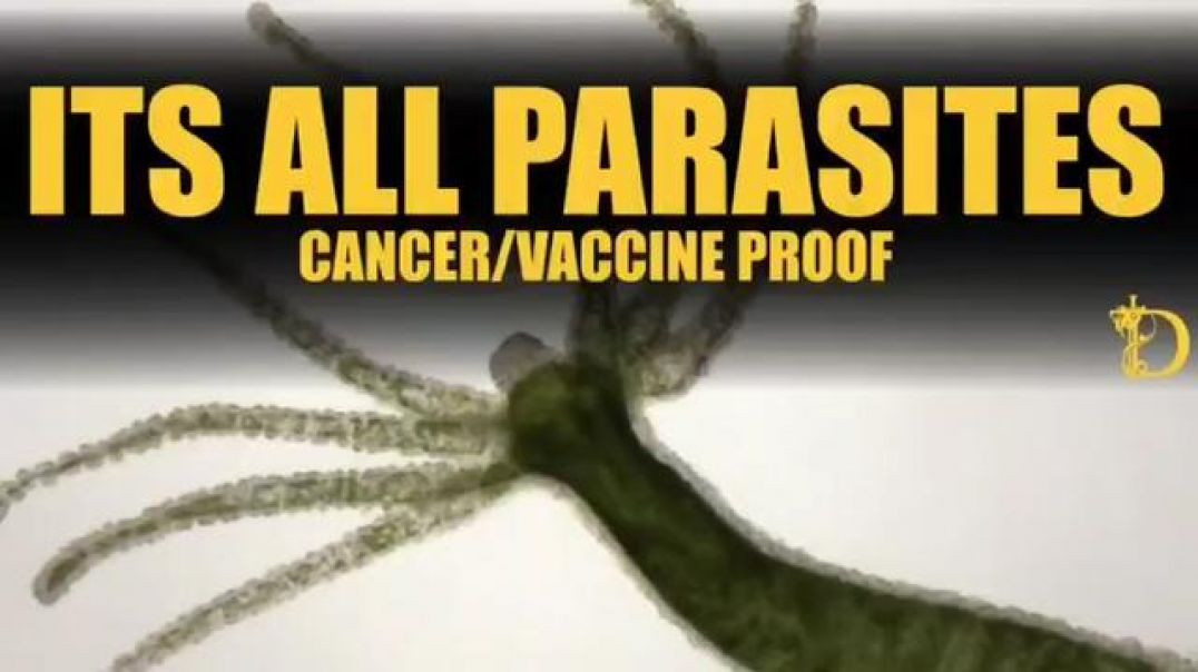 ⁣ITS ALL 🦠 PARASITES❗