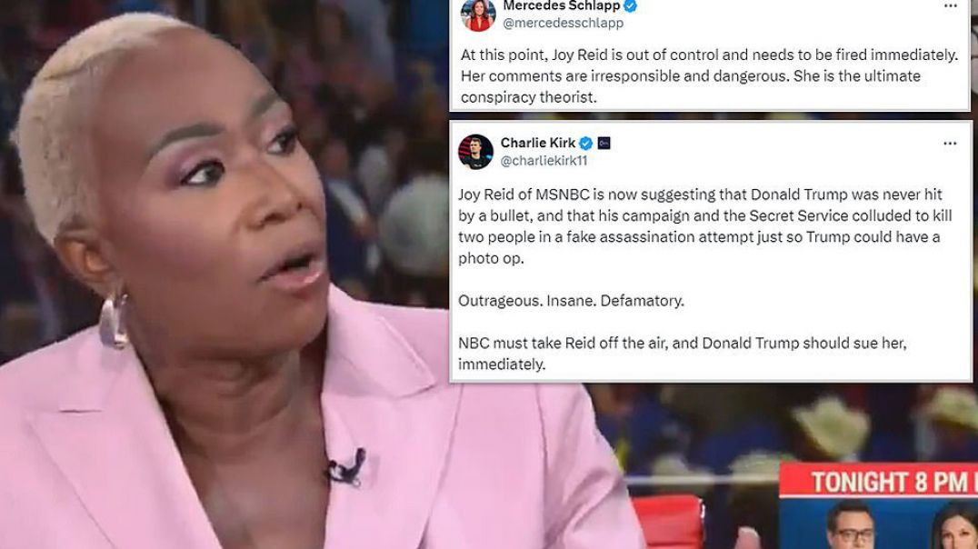 ⁣JOYLESS REID FINALLY FIRED FROM MSNBC❗