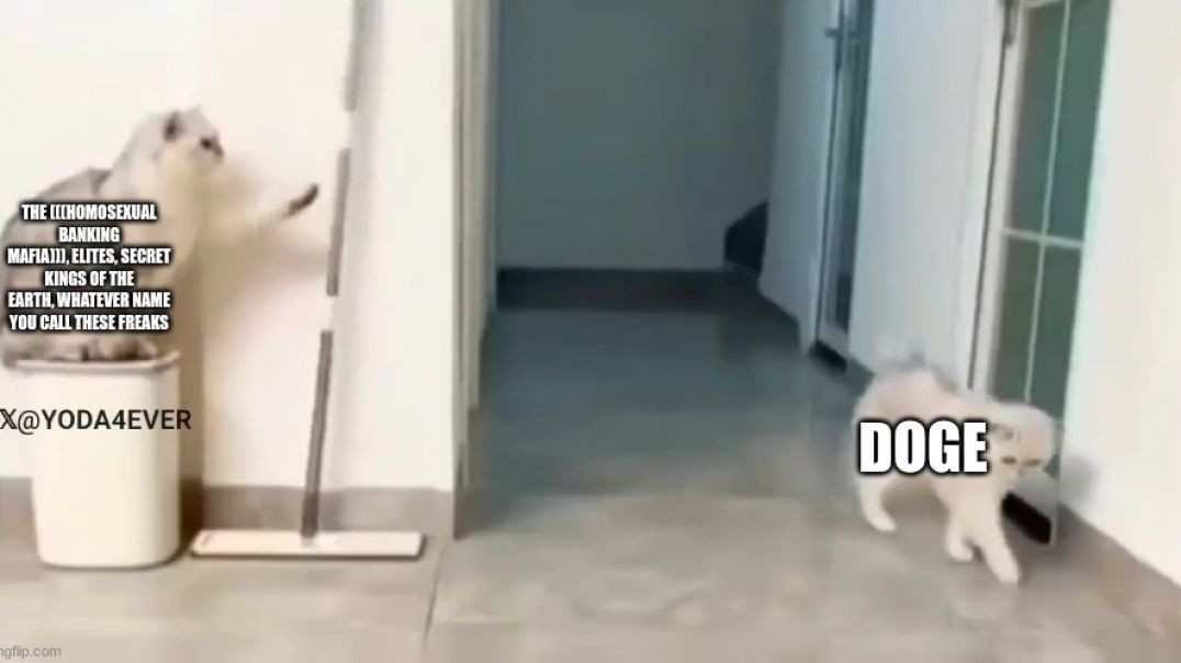 ⁣WHEN A PERFECT PLAN 🐈🐾😅 BACKFIRES [GOTEEM❗]