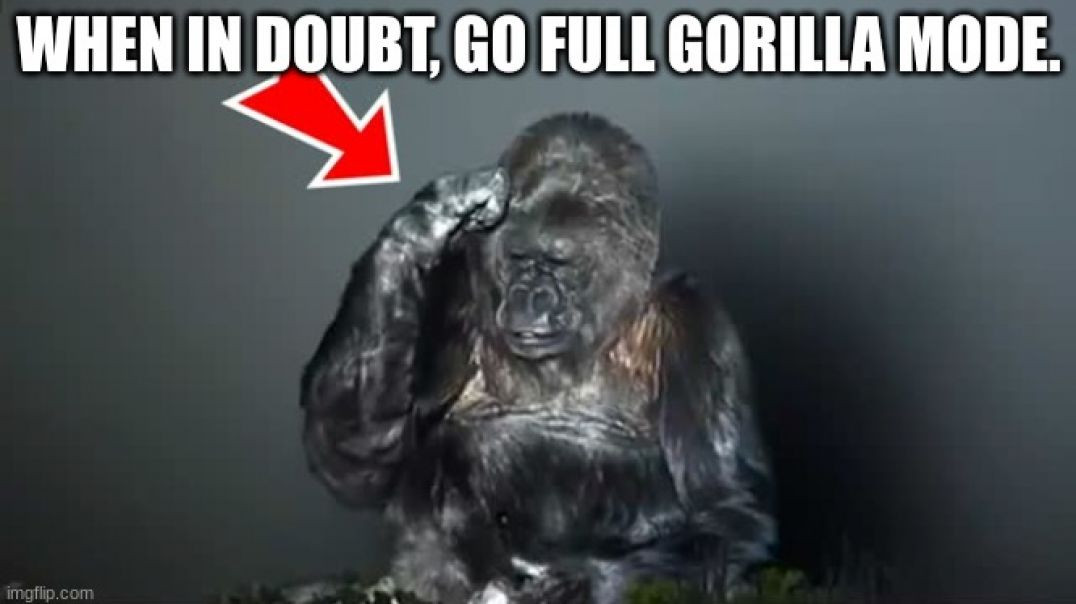 ⁣GORILLA THAT CAN TALK SAID SOMETHING SHOCKING ABOUT HUMANS 🦍 YOU WON'T BELIEVE YOUR EARS