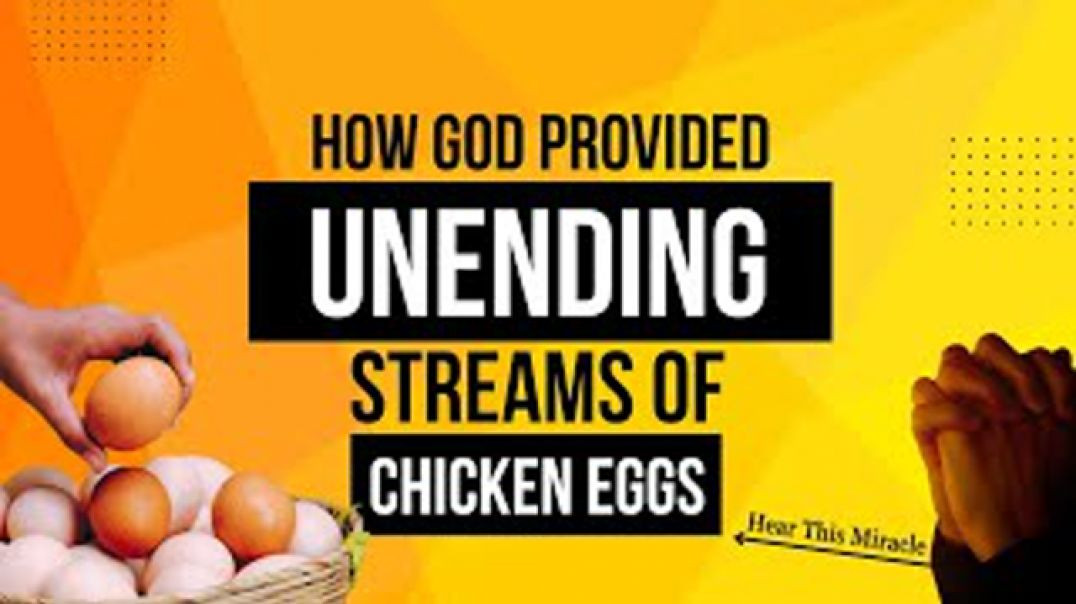 ⁣SHOCKING❗ HOW GOD SUPERNATURALLY PROVIDED CHICKEN EGGS 🥚 JONATHAN SHUTTLESWORTH