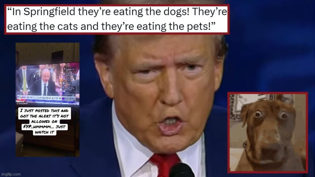 THEY'RE EATING THE DOGS 🙀 THEY'RE EATING THE CATS❗