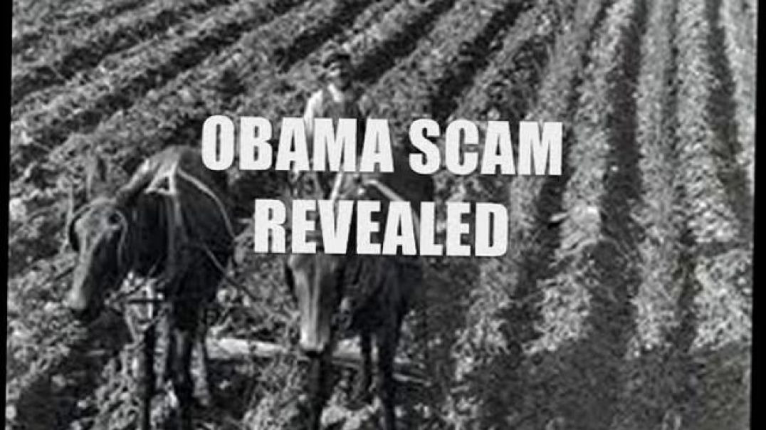 ⁣THE END IS AT HAND ⚧ THE BATHHOUSE BARRY SCAM REVEALED