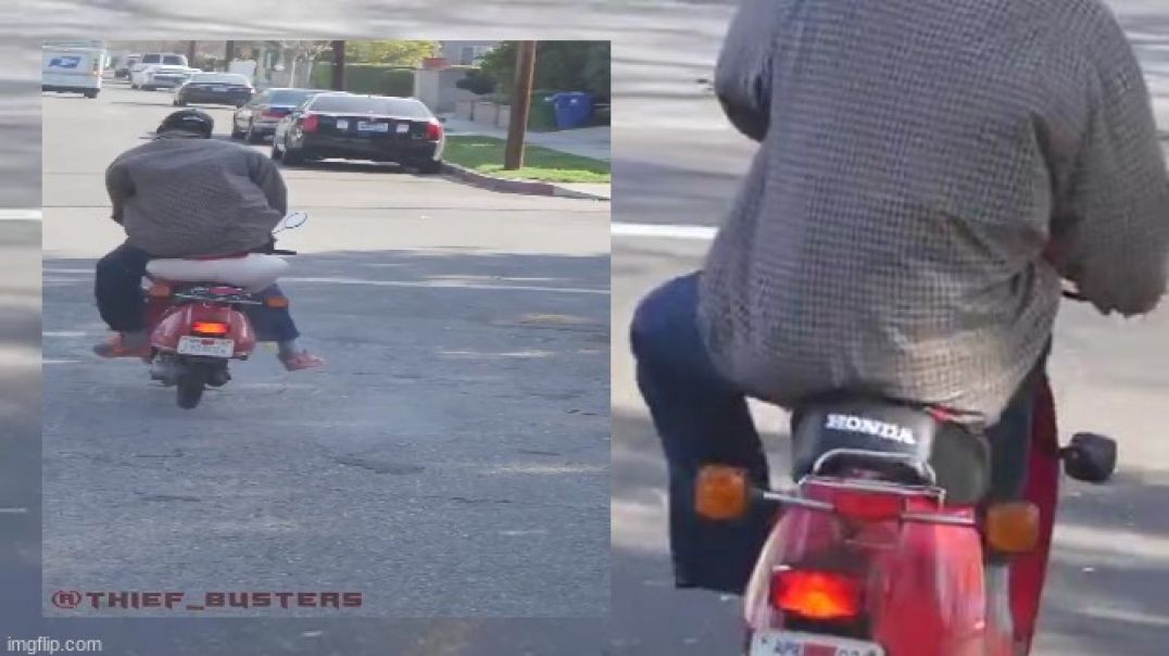 BAIT 🛵 MOPED❗