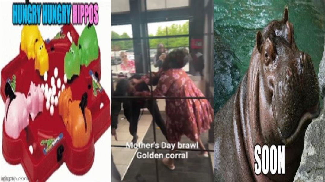 EXACTLY WHEN DID THEY CAST AN AUDITION 🦛 FOR HUNGRY HUNGRY HIPPOS❓ [SLOW-MO VERSION]