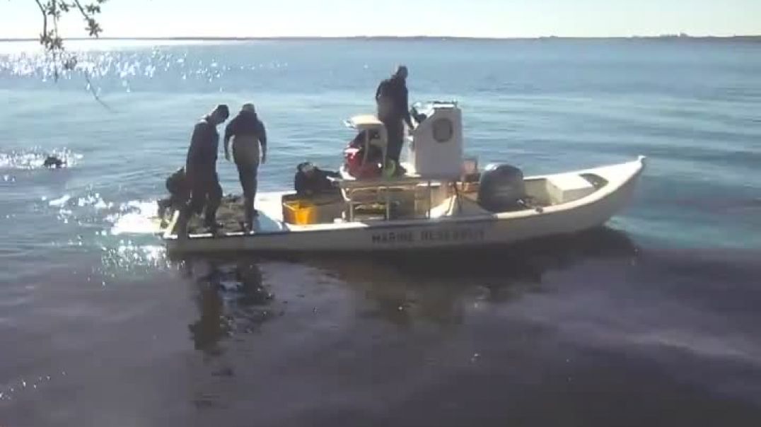 ⁣Fishing Jacksonville Florida Near San Marco With Your Publishing House Owner