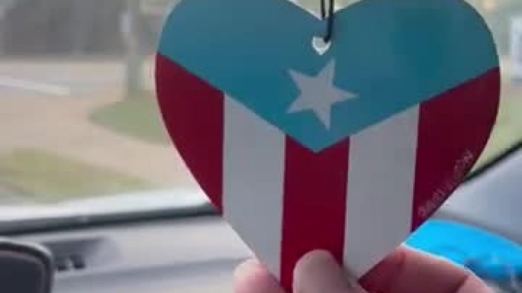 ⁣Invading puerto rican criminals hang flags blocking their view of the road while disabled are attack