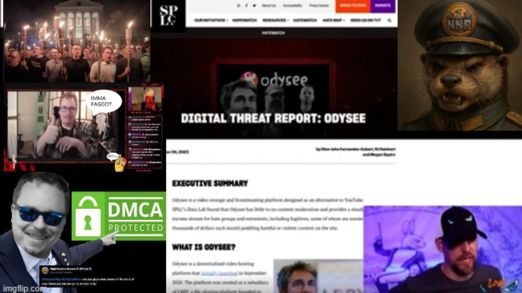 ⁣THE CURIOUS CASE OF NIGHT NATION REVIEW ₪ AND THE AVOIDANCE OF REALITY