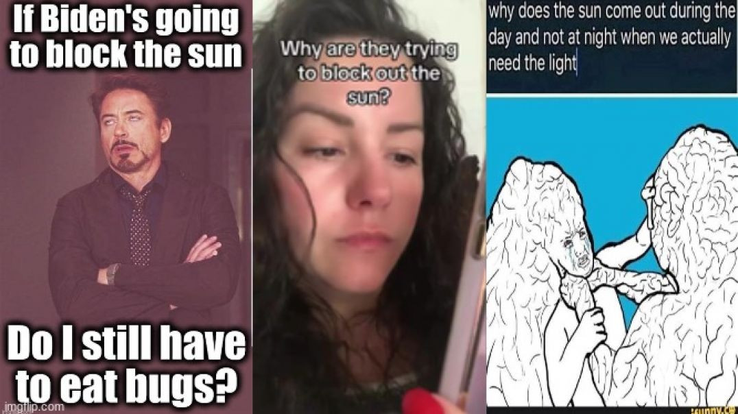⁣LADY ASKS AI ☼ WHY ARE THEY REALLY BLOCKING OUT THE SUN⁉️