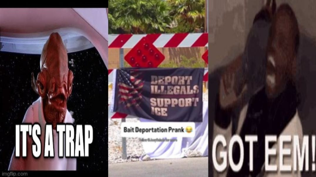 IT'S 🪤 A TARP‼️