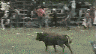 ⁣WHEN YOU FCUK WITH THE BULL 🐂 YOU SHOULD EXPECT THE HORNS