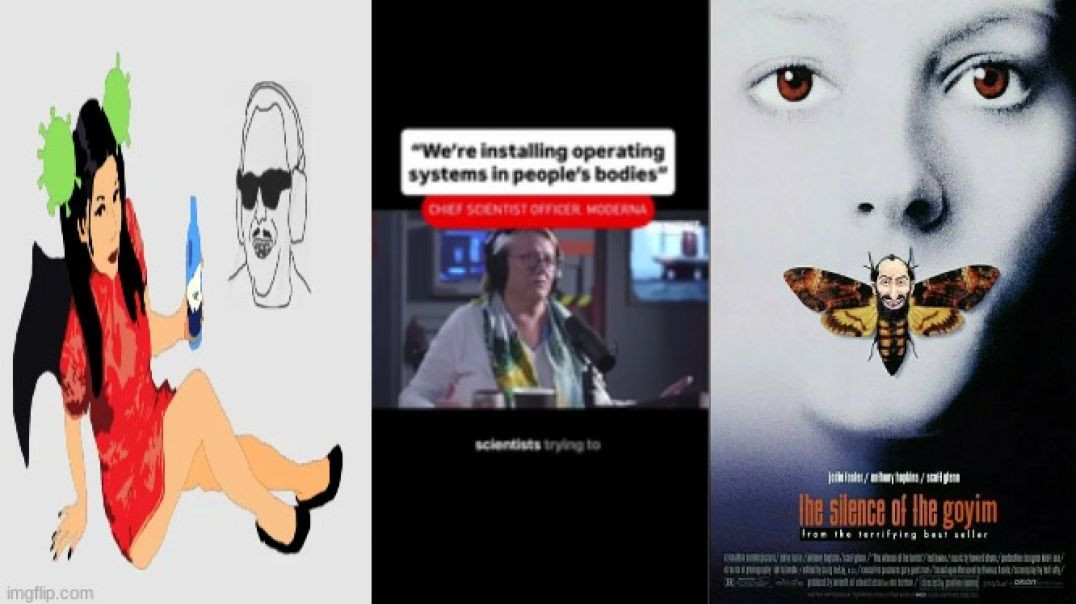 ⁣CATHERINE AUSTIN FITTS CONFIRMS ⚕ VᵳB's SHIP-IN-A-BOTTLE THEORY OF THE COVIDIOCRACY