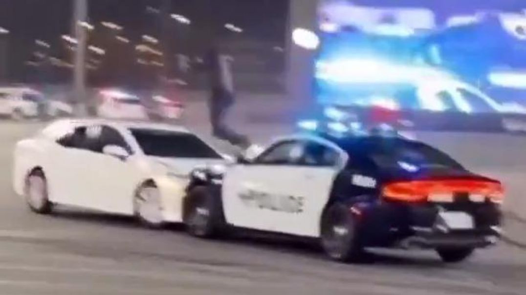 ⁣IF ONLY EVERY POLICE 🚓 CAR CHASE ENDED LIKE THIS❗
