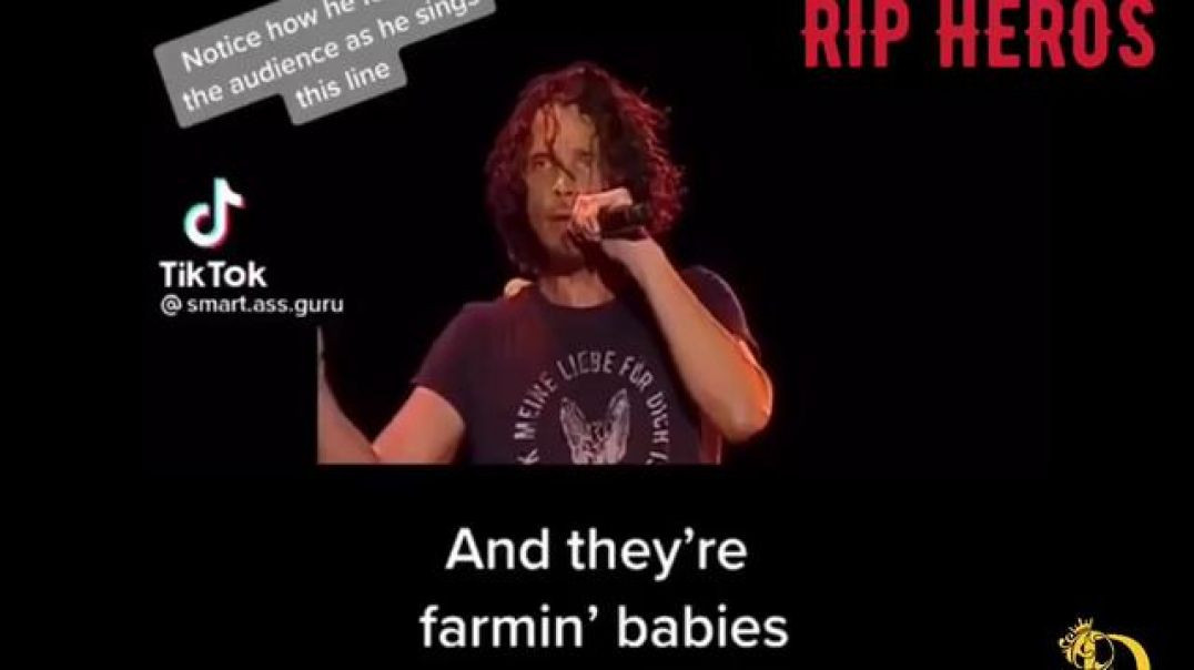 HUNGER 🍽 STRIKE [DECODED BY CHRIS CORNELL AND CHESTER BENNINGTON]