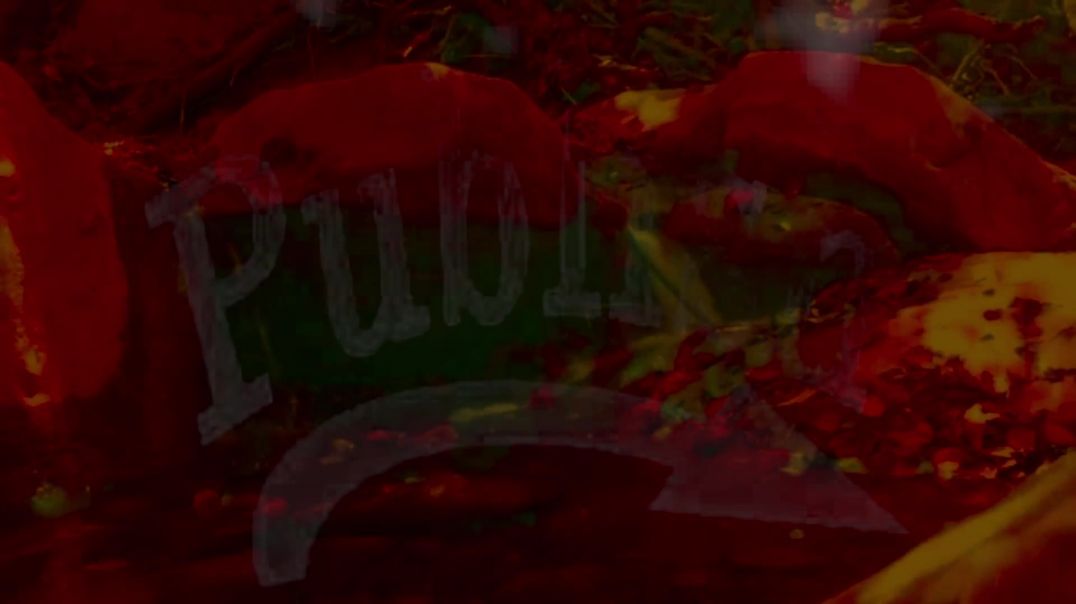 ⁣Publishing House Owner Updates August 3 2025 Active Crime Livestream Jacksonville Duval Florida USA!