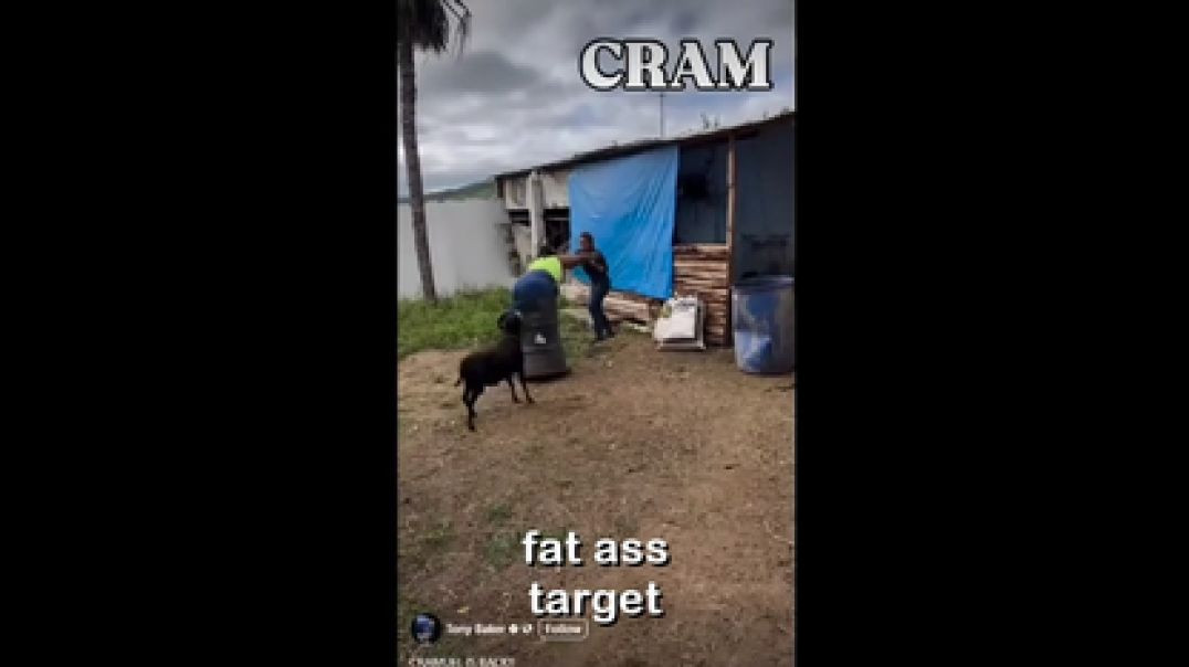 ⁣SINWATCHER SATURDAY № 5 🎬 CRAM 🐐❗