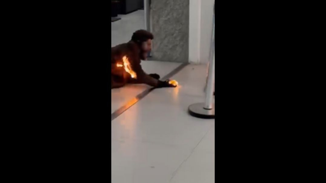 ⁣SINWATCHER SATURDAY № 4 🎬 IS IT OKAY 🔥 TO YELL FIRE NOW⁉️