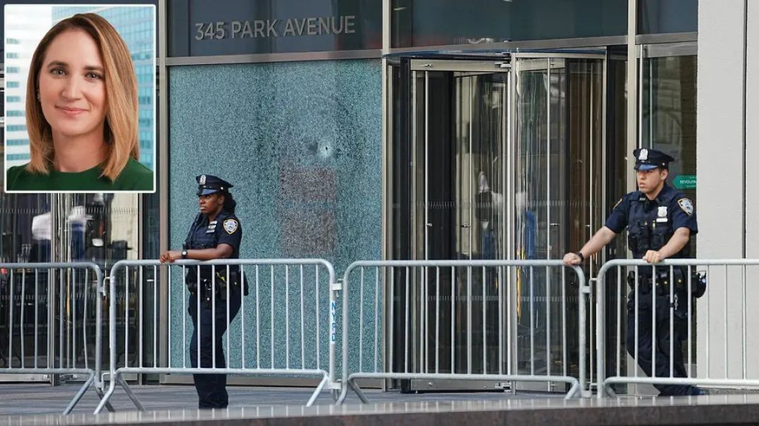 ⁣CEO OF BLACKSTONE ⬢ WESLEY LⅇPATNER  SHOT [MAINSTREAM MEDIA WHITEWASHES EVENT]