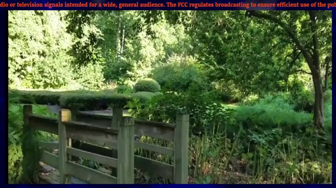 ⁣Second Part Elder Abuse Response Livestream With Live Active Crime Updates Local To Florida
