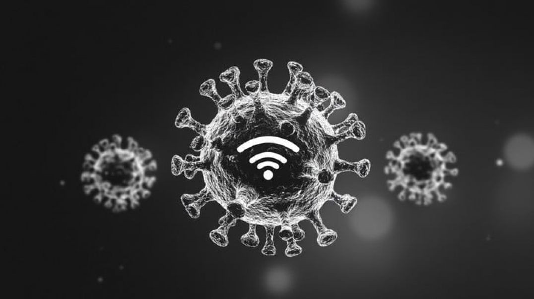 ⁣THE COVID-19 JAB CREATES ⚕ AN INTRO BODY NANO NETWORK [COVIDIOCRACY COMPUTERIZED PEOPLE]