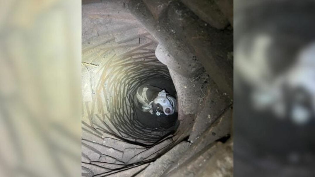 MAN HEARS BIZARRE NOISES UNDERGROUND 🕳️ DIGS 6 FEET AND FINDS SOMETHING HE CAN'T EXPLAIN