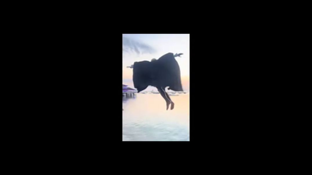 HE BELIEVED ❌ HE COULD FLY❗
