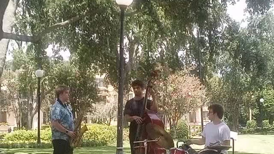 ⁣Free RAW Jacksonville Duval Florida Jazz Band Video Crashed By Violent jew Bum Sleeping In Park Arou