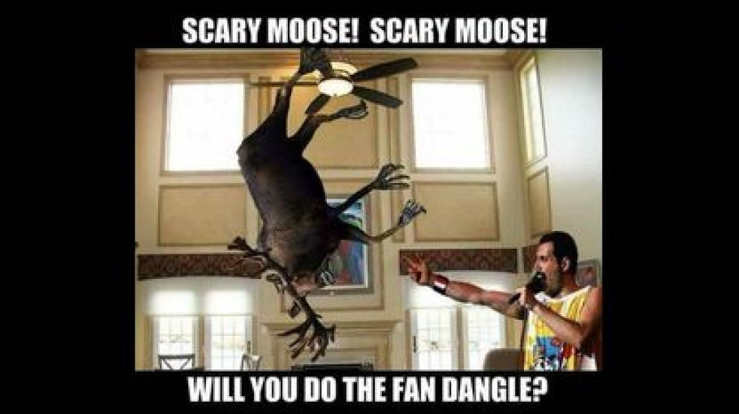 TAKING A BREAK FROM THE INTERNET TODAY 🎼 BECAUSE THIS IS JUST TOO EPIC❗