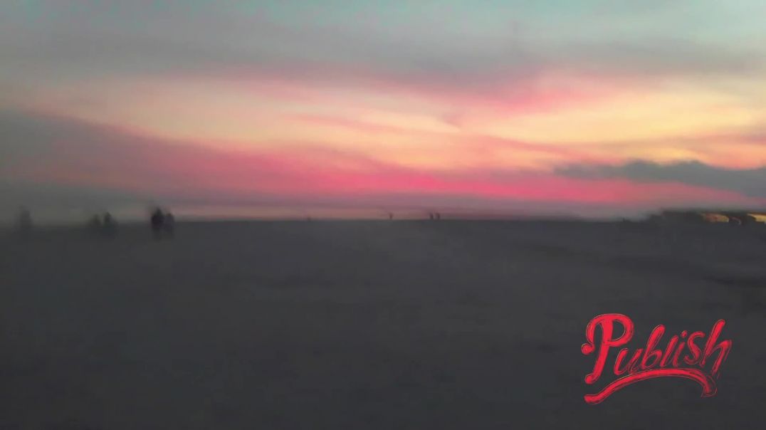 Florida Invaders Attack Working White Arborist With Taxpayer Funded jewish DOJ Malice For Money