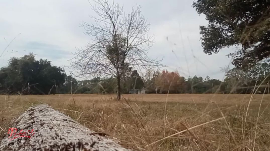 ⁣Beware Of Invaders Using Housing As Bait Publishing House Owner Report November 23 2025